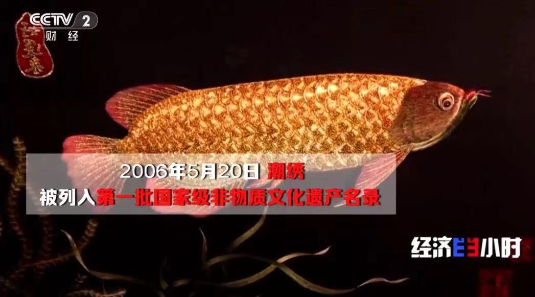 80bfc327efa44b3f7dbf5eca5653dcd.jpg